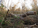 dsc00479